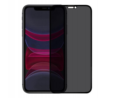 iPhone 11 Ekran Koruyucu Gizli Hayalet Cam Tam Kaplama