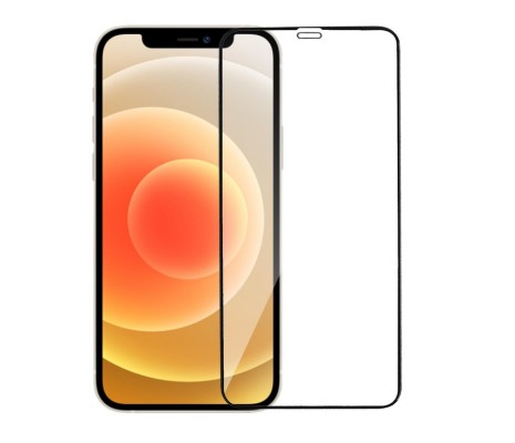 iPhone 12 Pro Max Ekran Koruyucu 9D Tam Kaplama